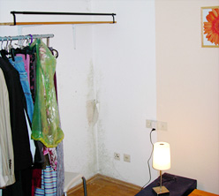 Schimmel in der Wohnung